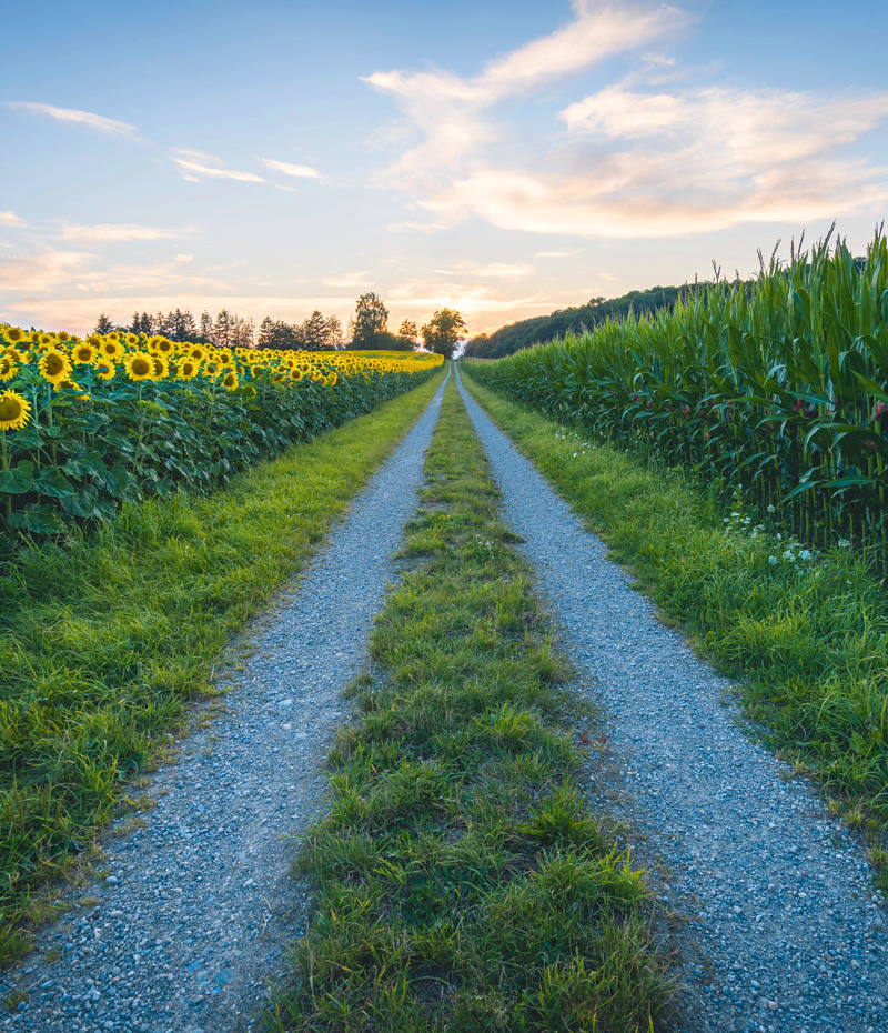 desinfektion-direkt Landwirtschaft desinfektion-direkt Landwirtschaft